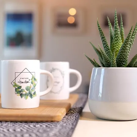 Daire Open Space, E Luminoso, In Classe A *