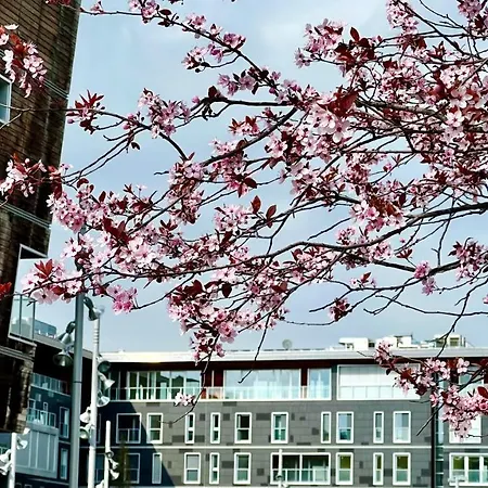 Open Space, E Luminoso, In Classe A