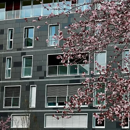 Open Space, E Luminoso, In Classe A Parma