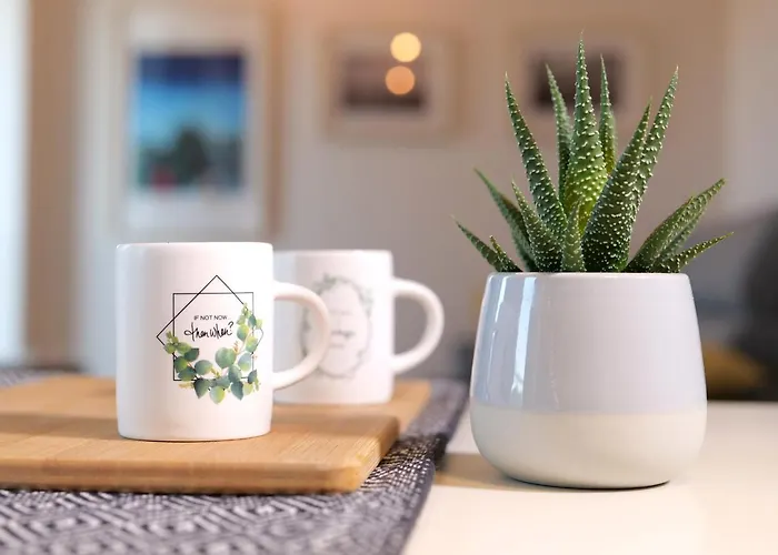 شقة Open Space, E Luminoso, In Classe A *