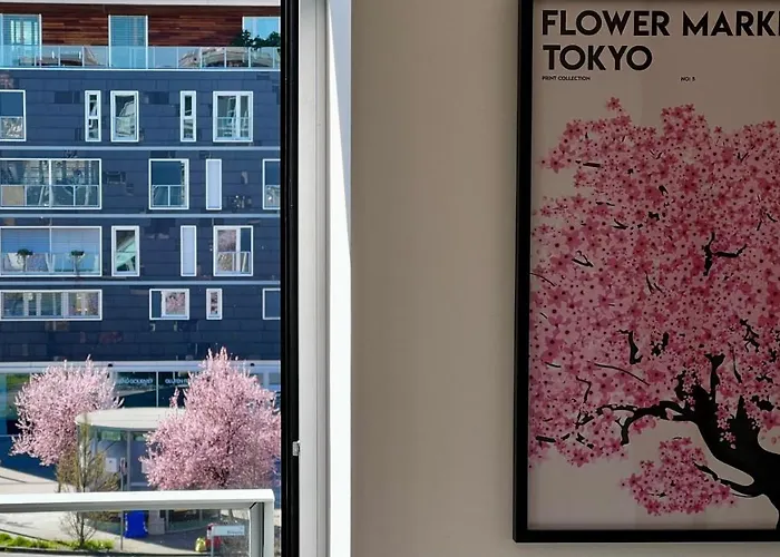 Daire Open Space, E Luminoso, In Classe A *