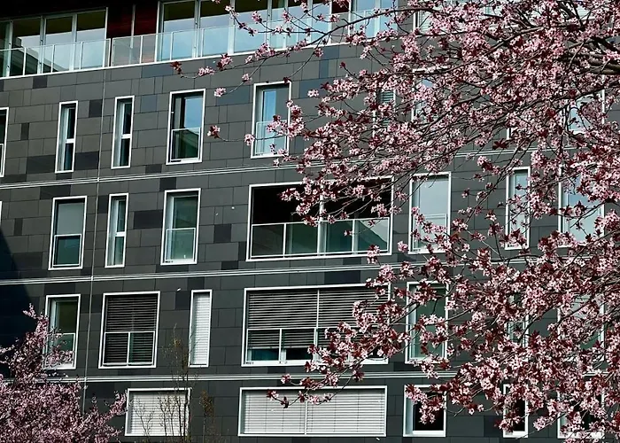 Open Space, E Luminoso, In Classe A Parma